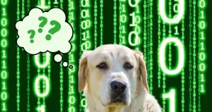 Die Digitalisierung bei Hundehaltern