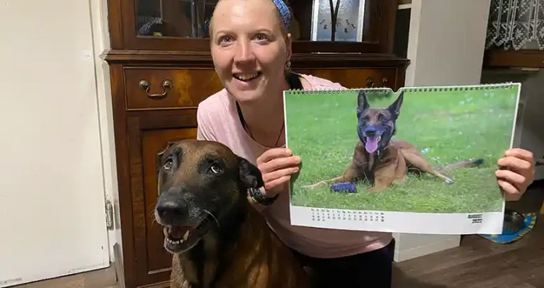 Einen Fotokalender von seinem Hund zu erstellen ist kinderleicht. In unserem dazu passenden Beitrag im Hundeblog Hundgerecht365.de geben wir euch ein paar Tipps wie ihr den ersten Kalender erstellen könnt.